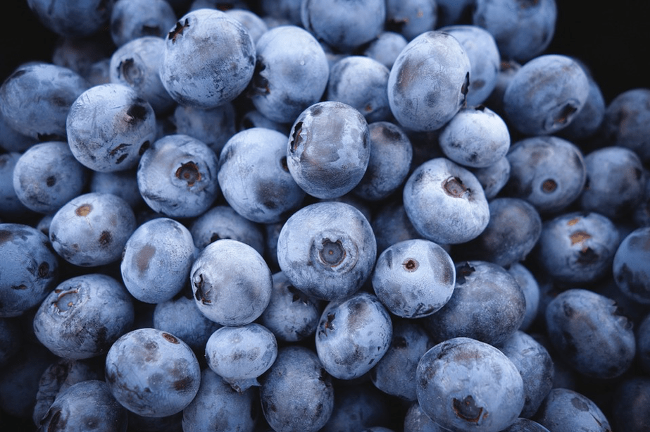 blueberries to preserve youth